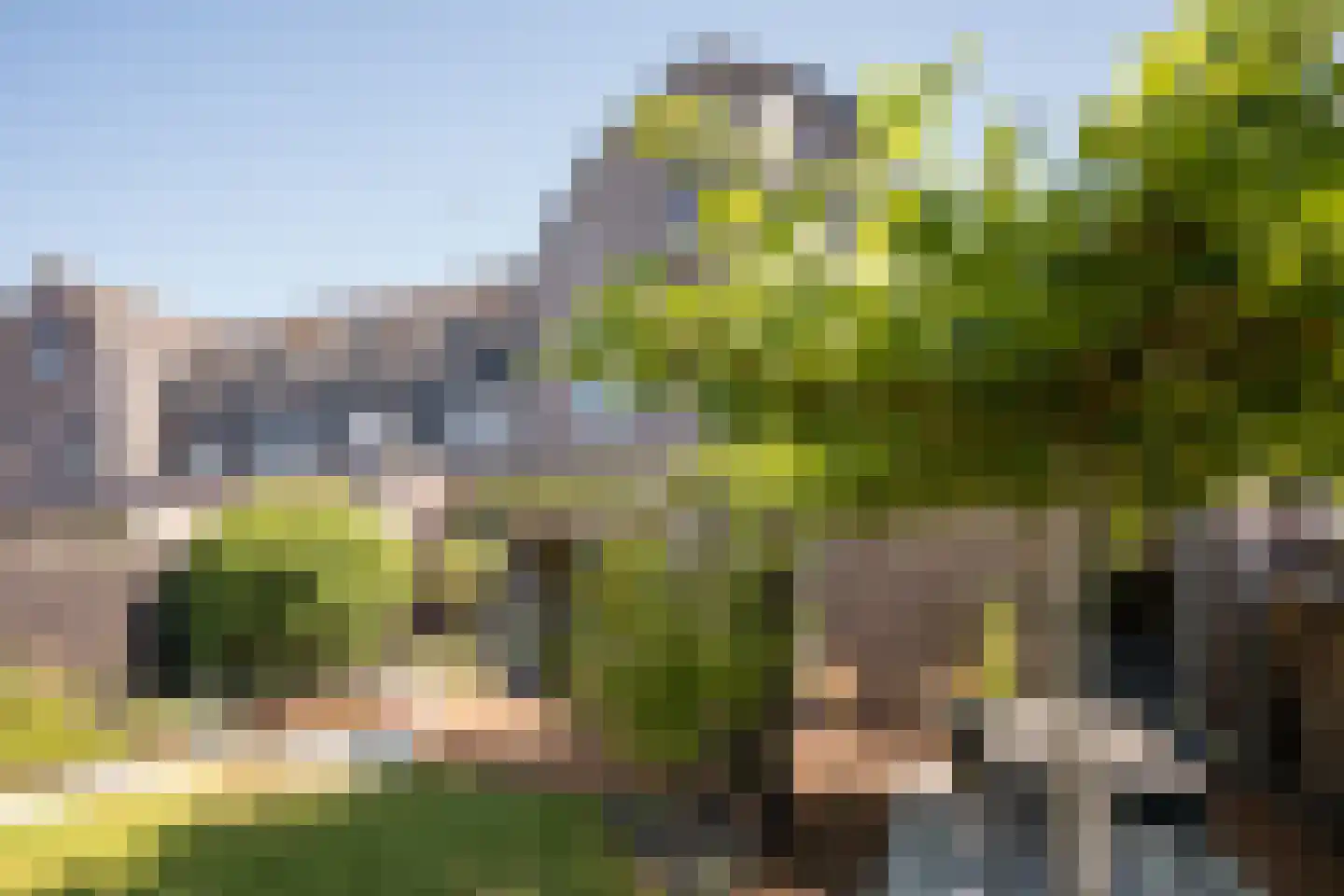 Bosroos 8 Assen thumbnail 34