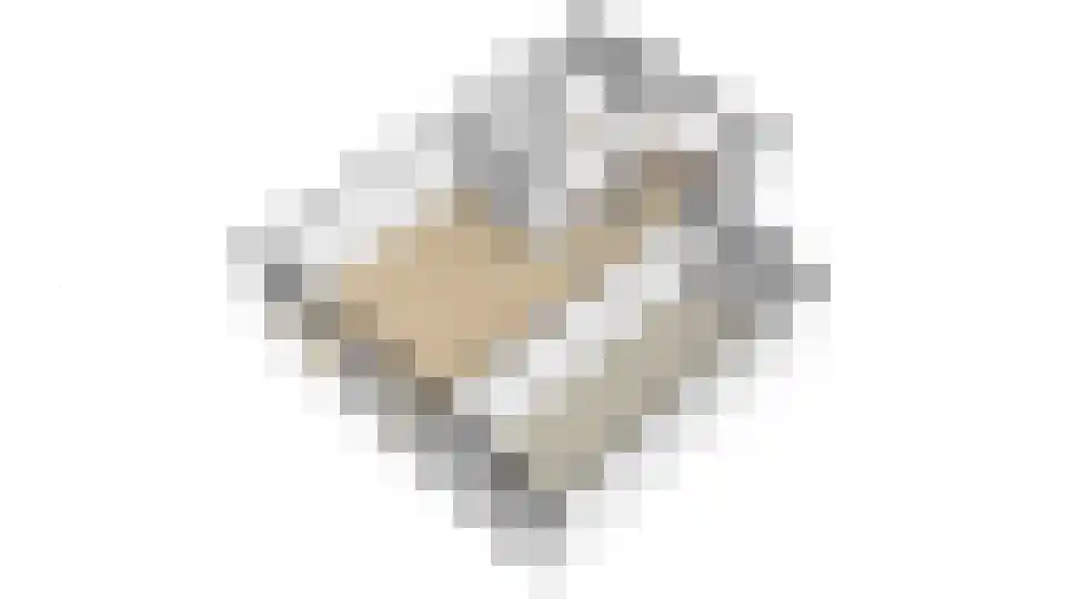 Bosroos 8 Assen thumbnail 37