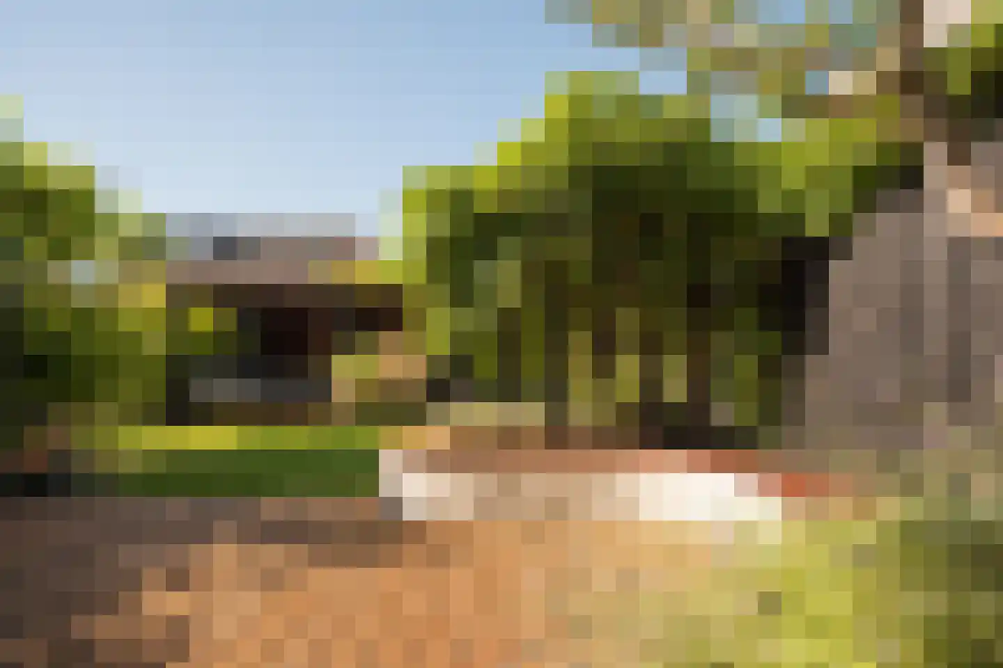 Bosroos 8 Assen thumbnail 4
