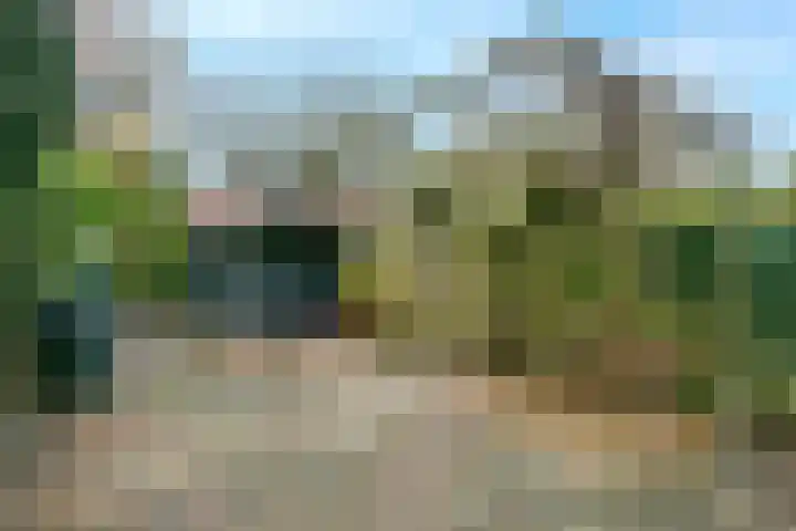 Bosruiter 13 Nieuwegein thumbnail 13