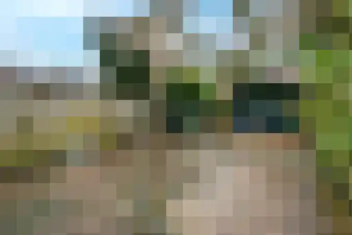 Bosruiter 13 Nieuwegein thumbnail 14