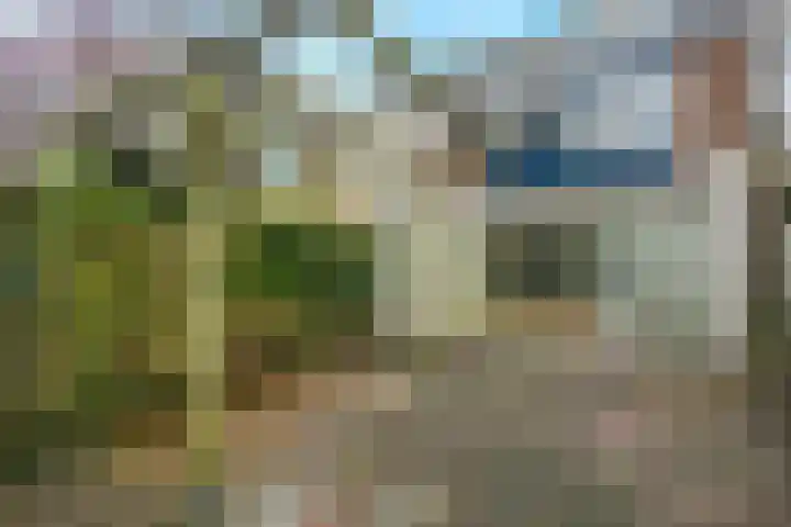 Bosruiter 13 Nieuwegein thumbnail 16