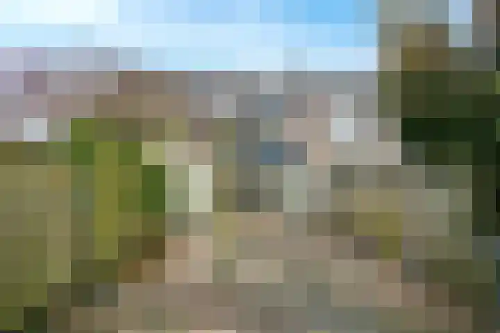 Bosruiter 13 Nieuwegein thumbnail 17