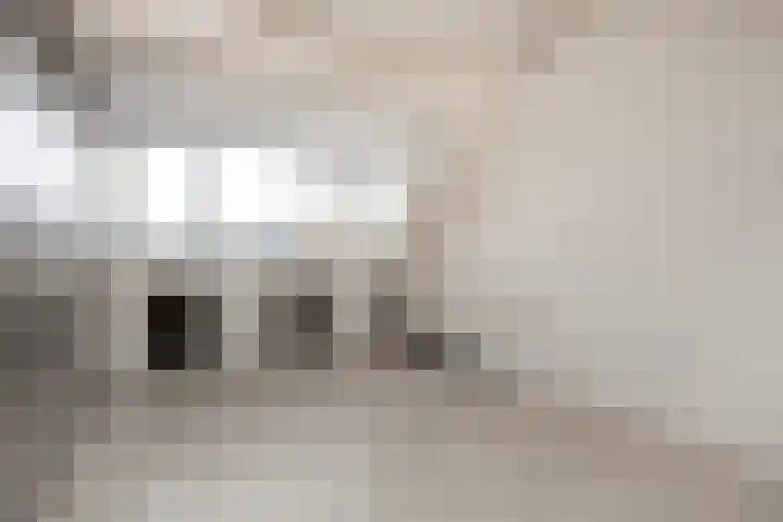 Bosruiter 13 Nieuwegein thumbnail 30