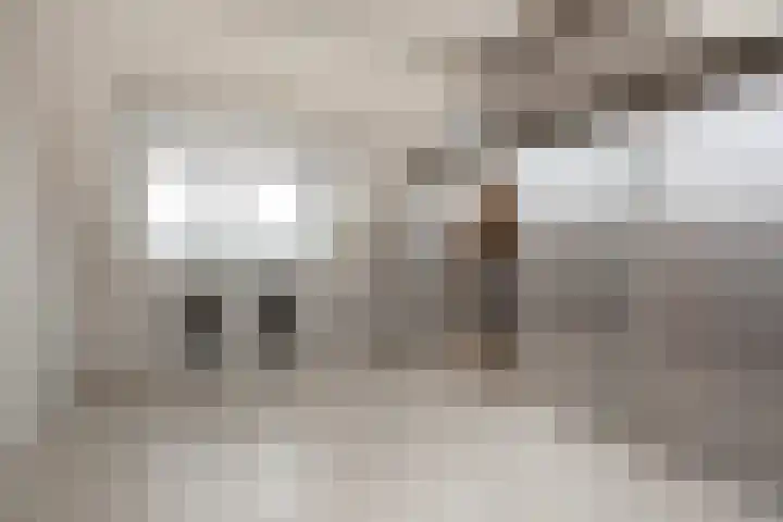 Bosruiter 13 Nieuwegein thumbnail 31