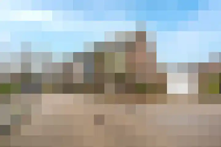 Bosruiter 13 Nieuwegein thumbnail 32