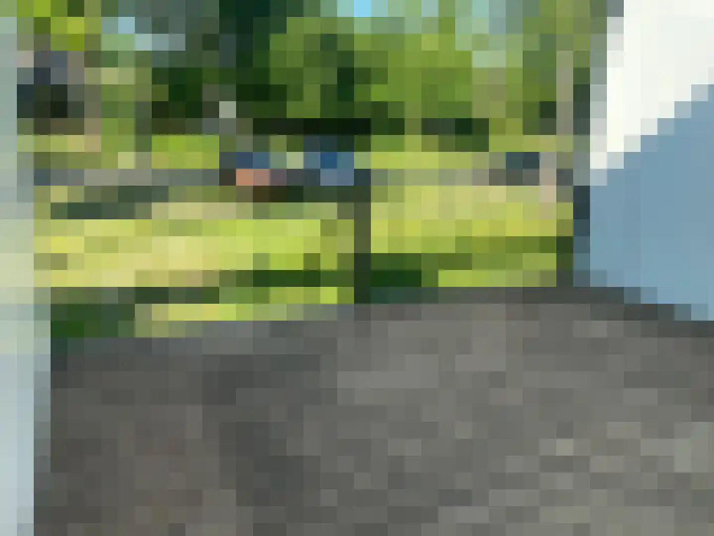 Bosruiter 24 Eindhoven thumbnail 7