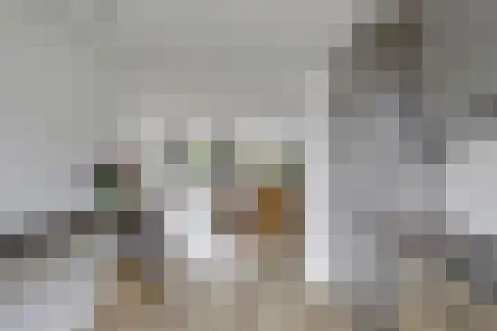 Bosruiter 3 Nieuwegein thumbnail 11