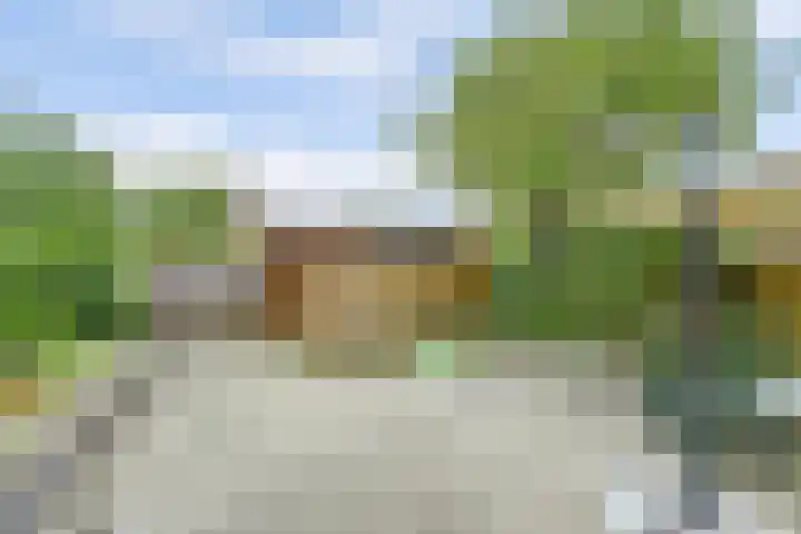 Bosruiter 3 Nieuwegein thumbnail 12