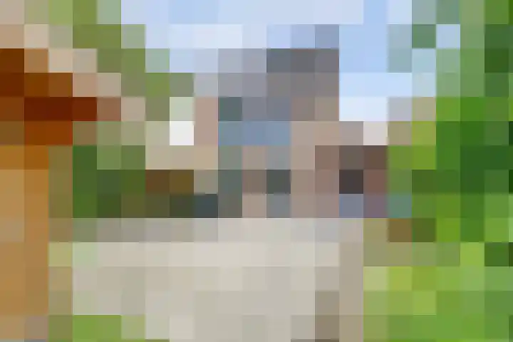 Bosruiter 3 Nieuwegein thumbnail 14