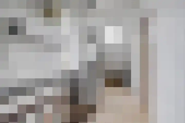 Bosruiter 3 Nieuwegein thumbnail 31