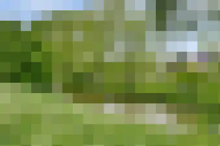 Bosruiter 3 Nieuwegein thumbnail 33