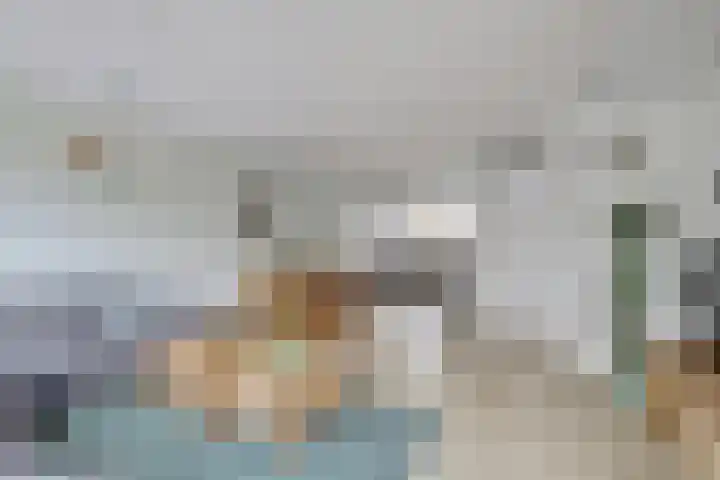 Bosruiter 3 Nieuwegein thumbnail 4
