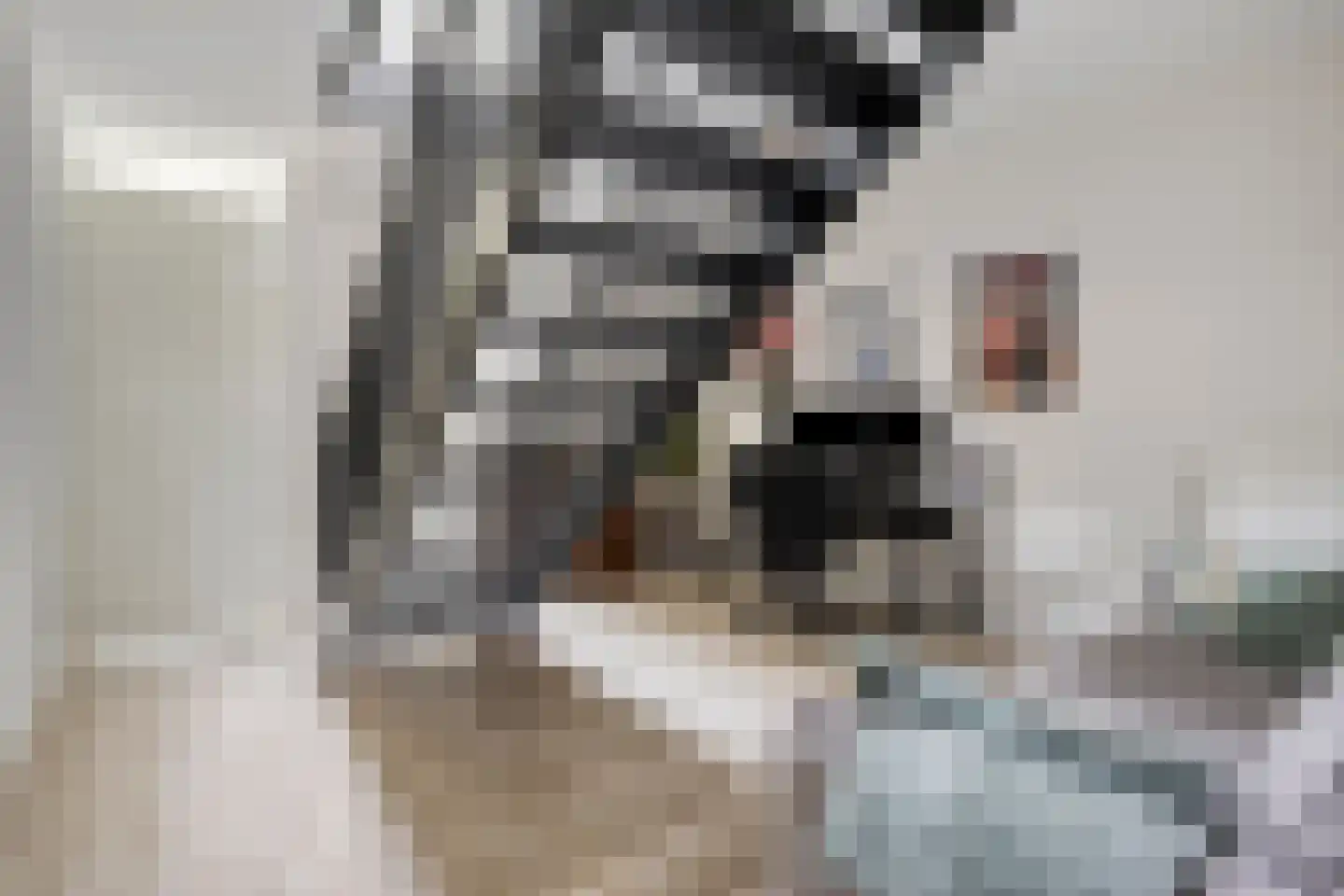 Bosruiter 34 Eindhoven thumbnail 10