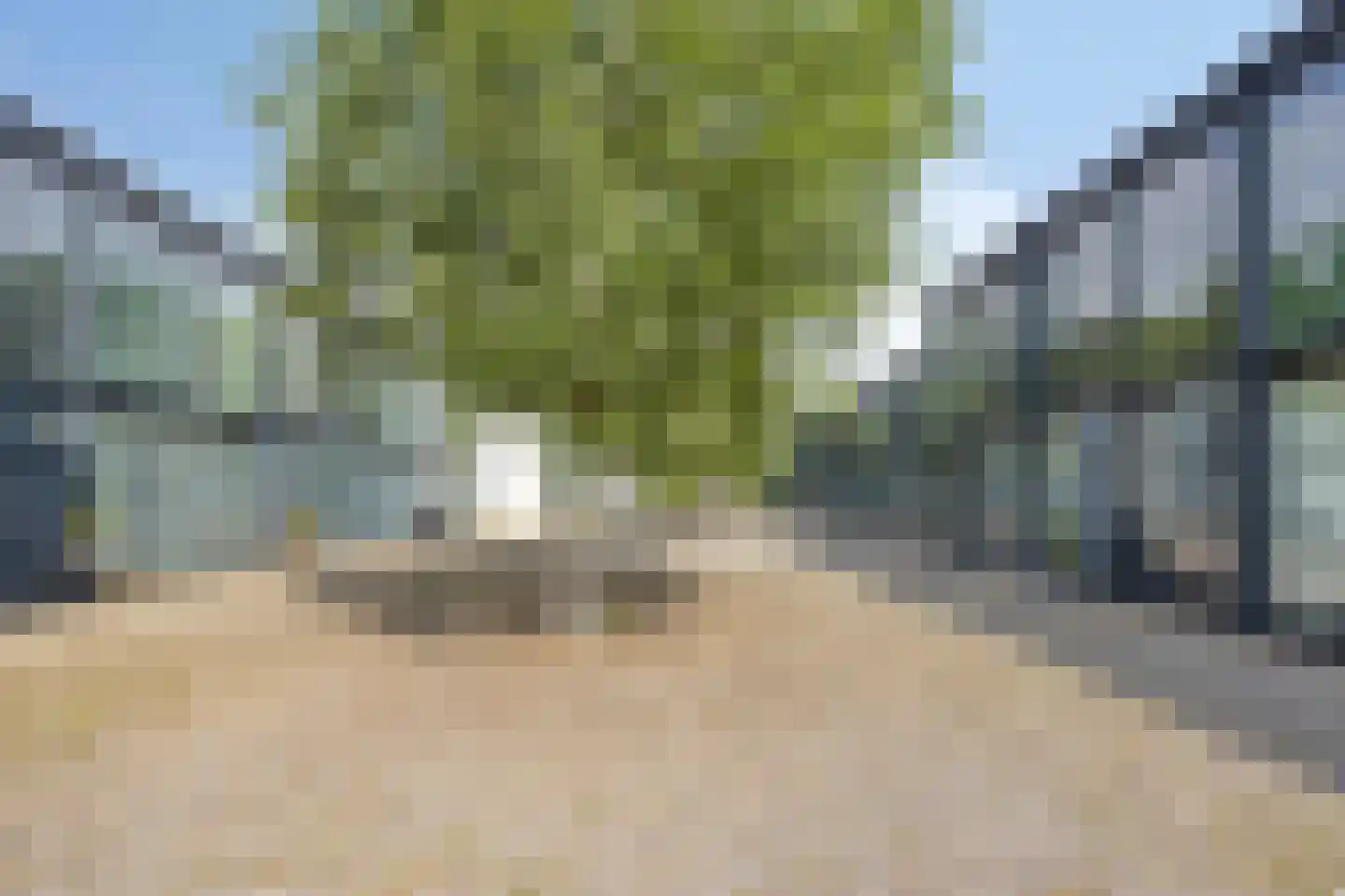 Bosruiter 34 Eindhoven thumbnail 29