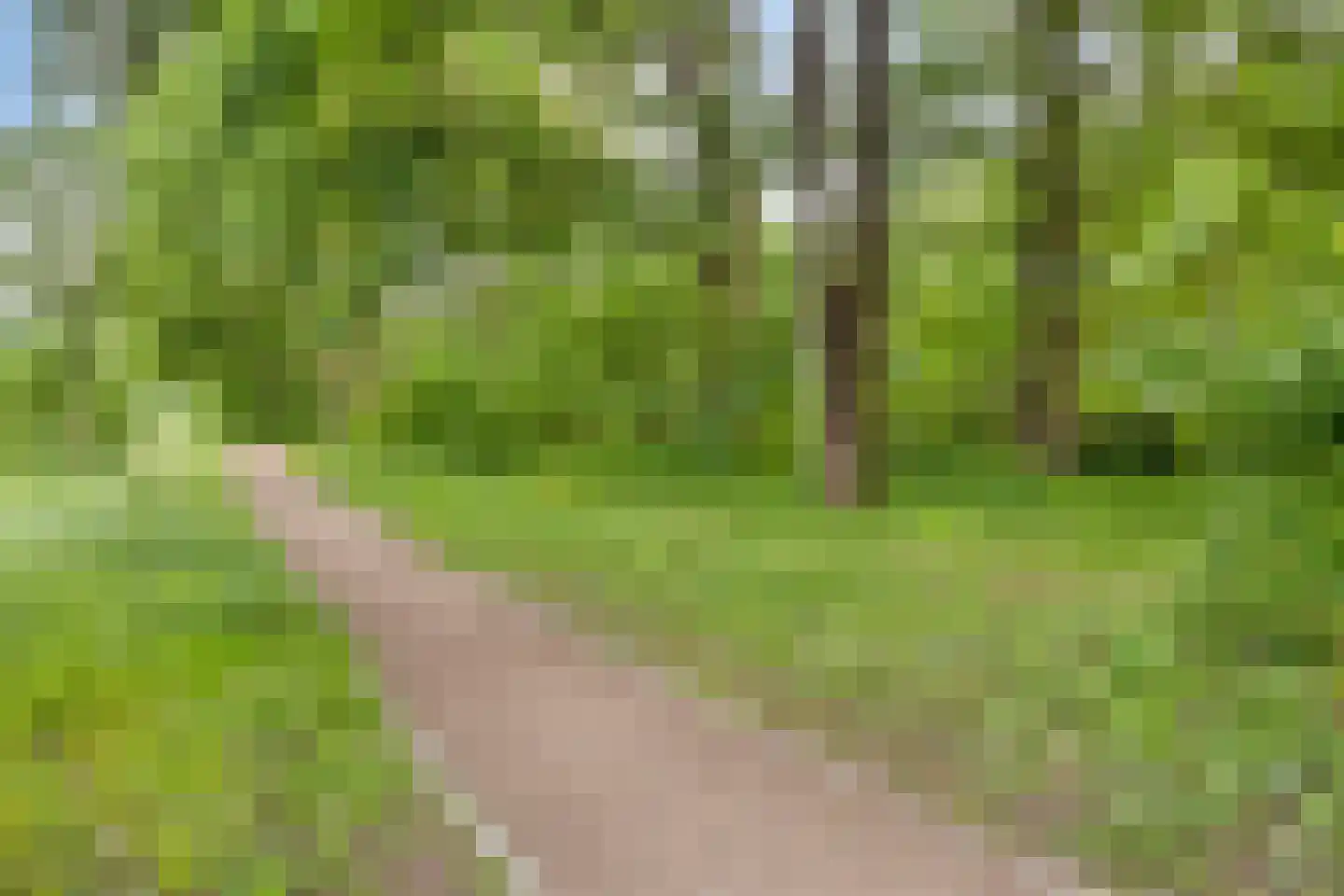 Bosruiter 34 Eindhoven thumbnail 31