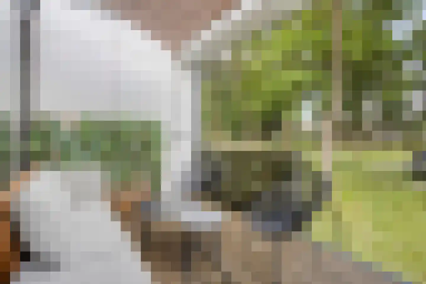Bosruiter 34 Eindhoven thumbnail 4