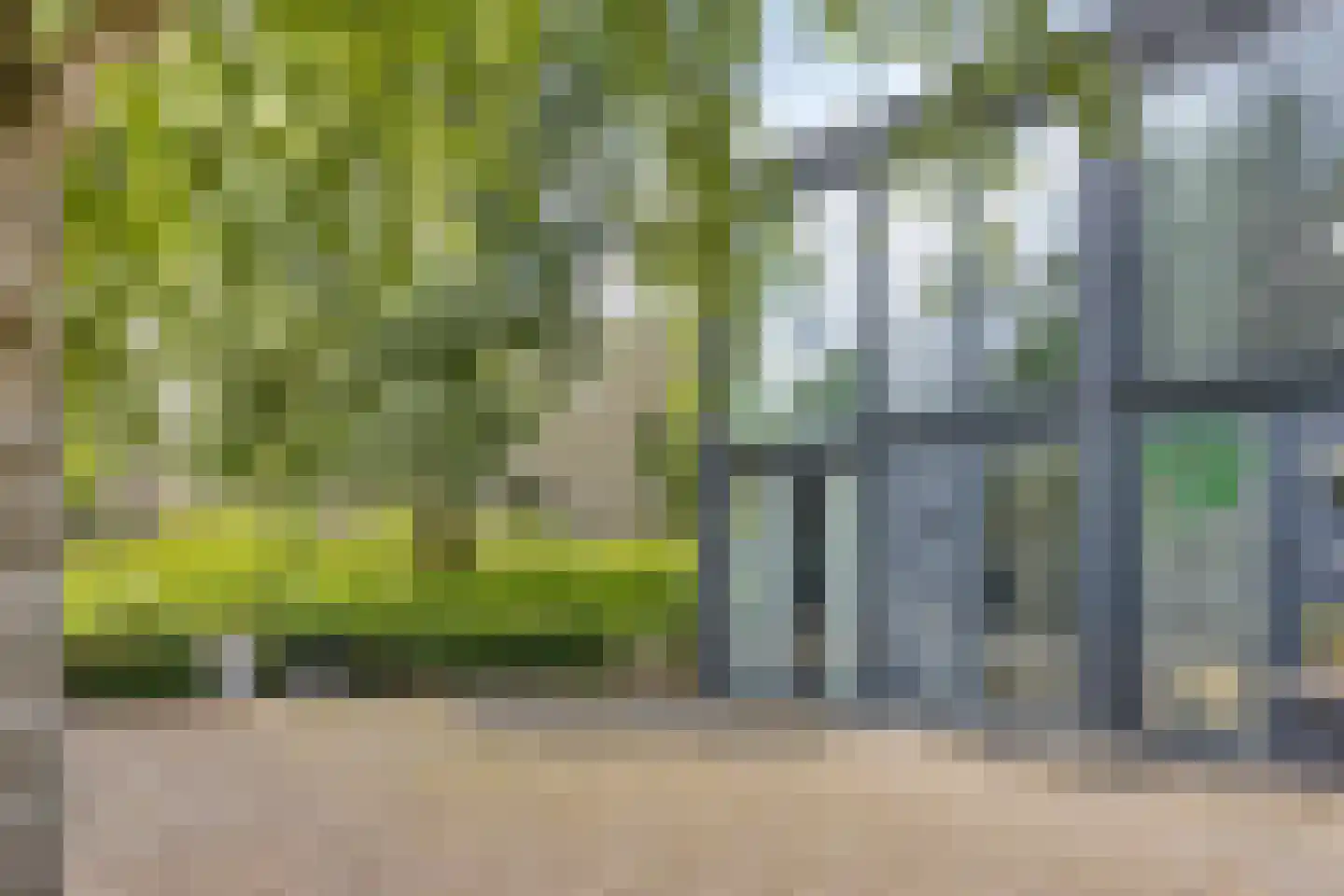 Bosruiter 34 Eindhoven thumbnail 5