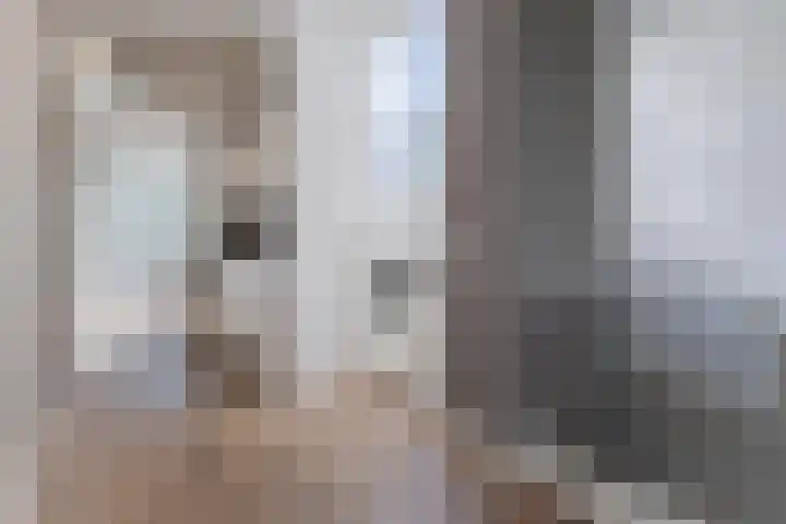 Bosruiter 52 Eindhoven thumbnail 14