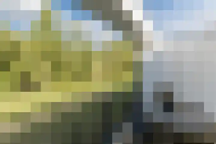 Bosruiter 52 Eindhoven thumbnail 37
