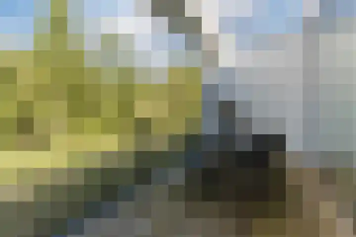 Bosruiter 52 Eindhoven thumbnail 38