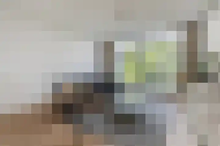 Bosruiter 52 Eindhoven thumbnail 6