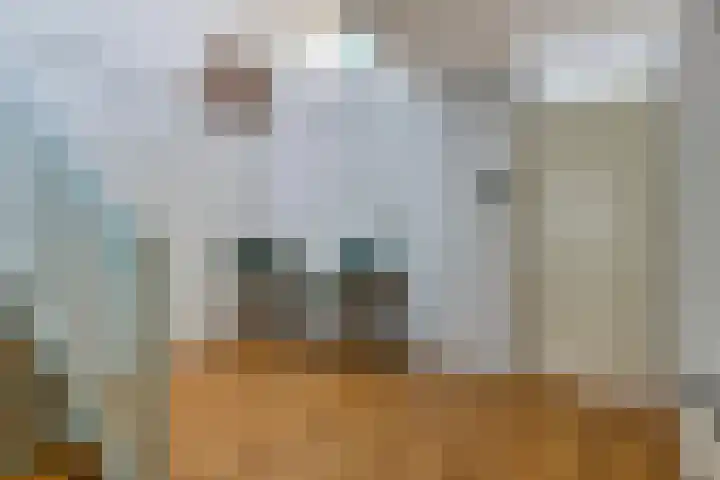 Bosruiter 62 Eindhoven thumbnail 10