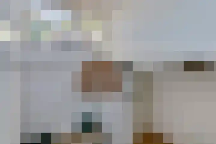 Bosruiter 62 Eindhoven thumbnail 12