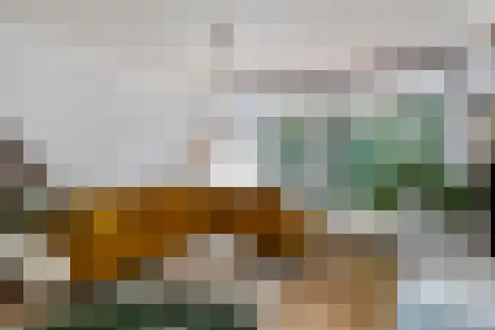 Bosruiter 62 Eindhoven thumbnail 25