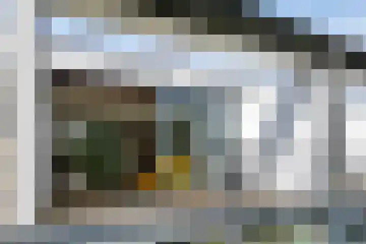 Bosruiter 62 Eindhoven thumbnail 29