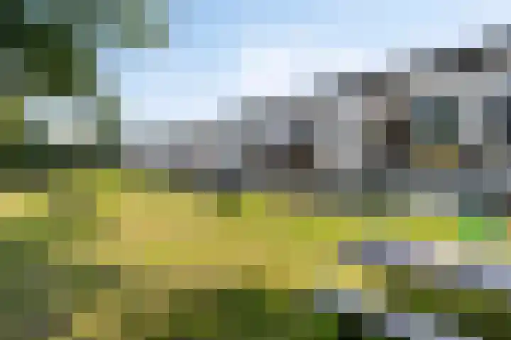 Bosruiter 62 Eindhoven thumbnail 30