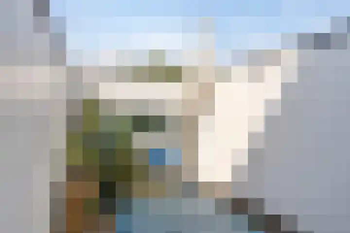 Bosruiter 62 Eindhoven thumbnail 31