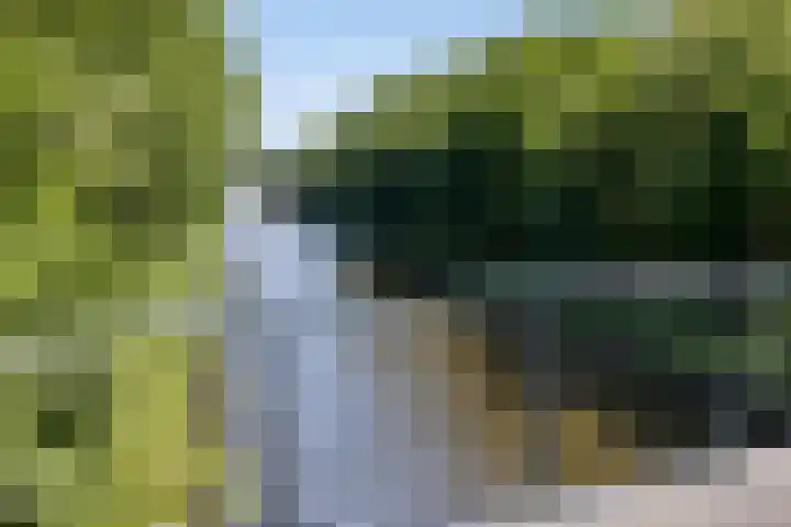 Bosruiter 62 Eindhoven thumbnail 32