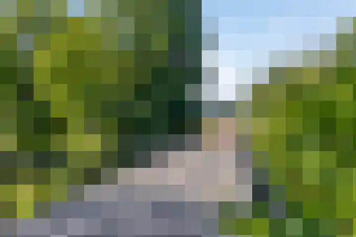 Bosruiter 62 Eindhoven thumbnail 33