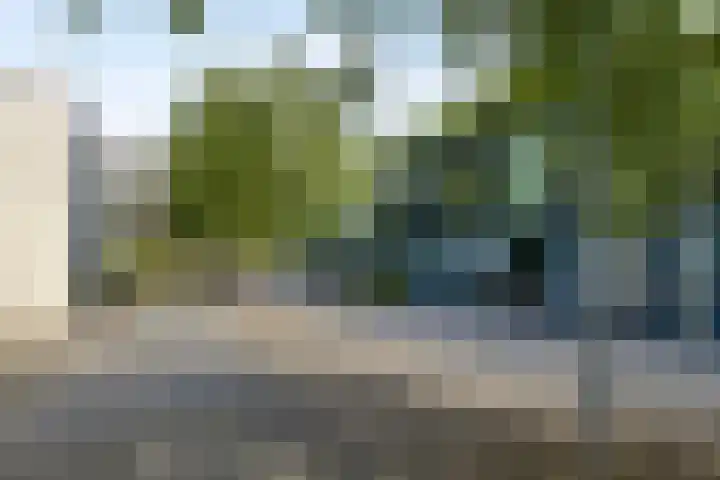 Bosruiter 62 Eindhoven thumbnail 7