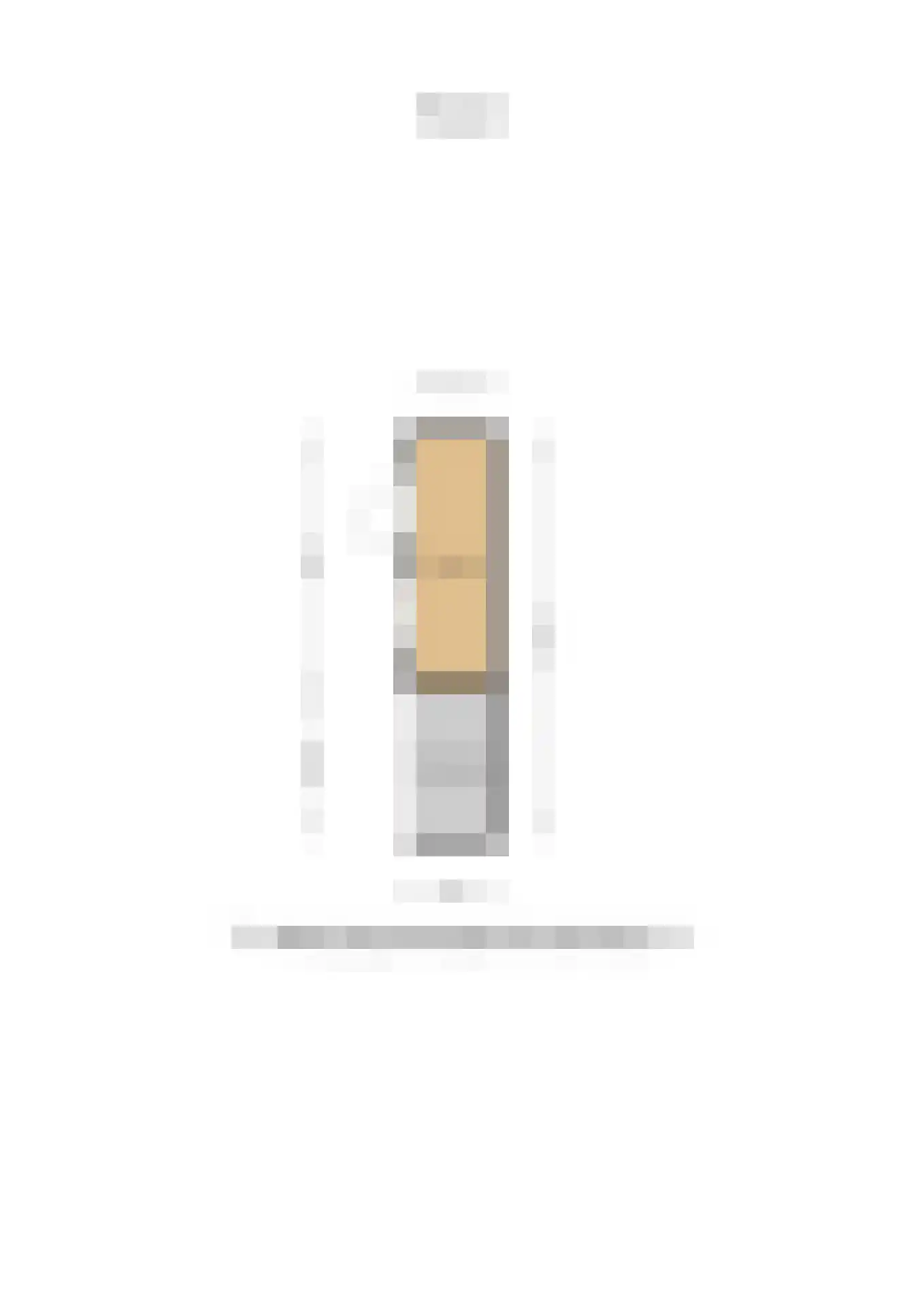 Bosruiter 63 Lemmer thumbnail 61