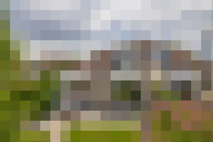 Bosruiter 7 Lemmer thumbnail 20