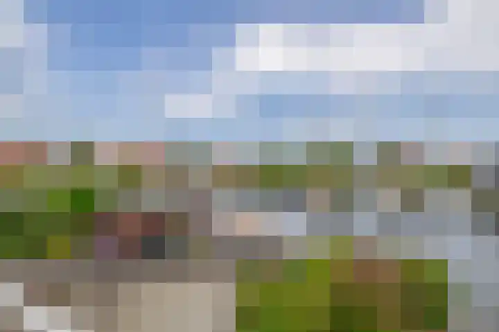Bosruiter 7 Lemmer thumbnail 25