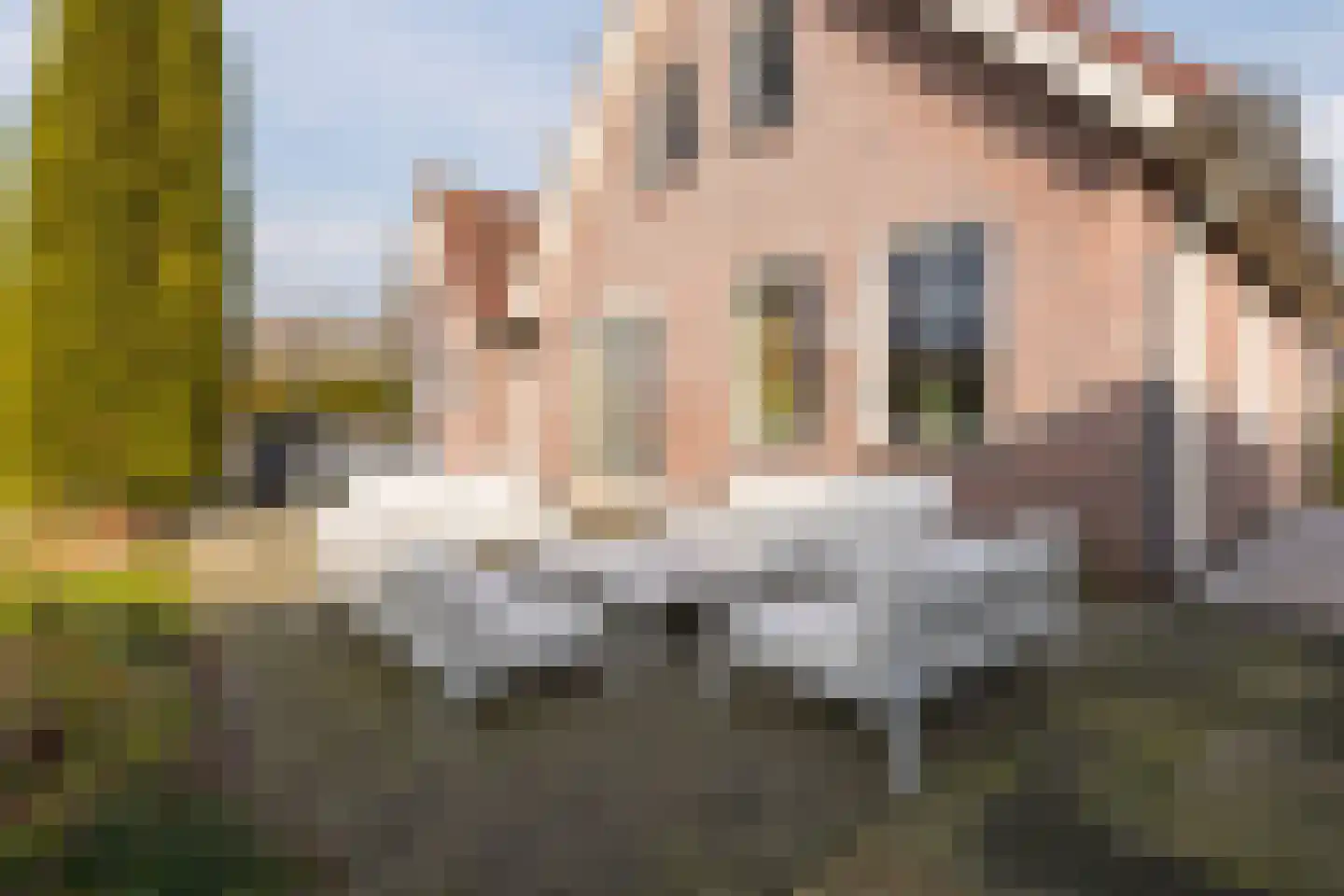 Bosruiterweg 25 111 Zeewolde thumbnail 54