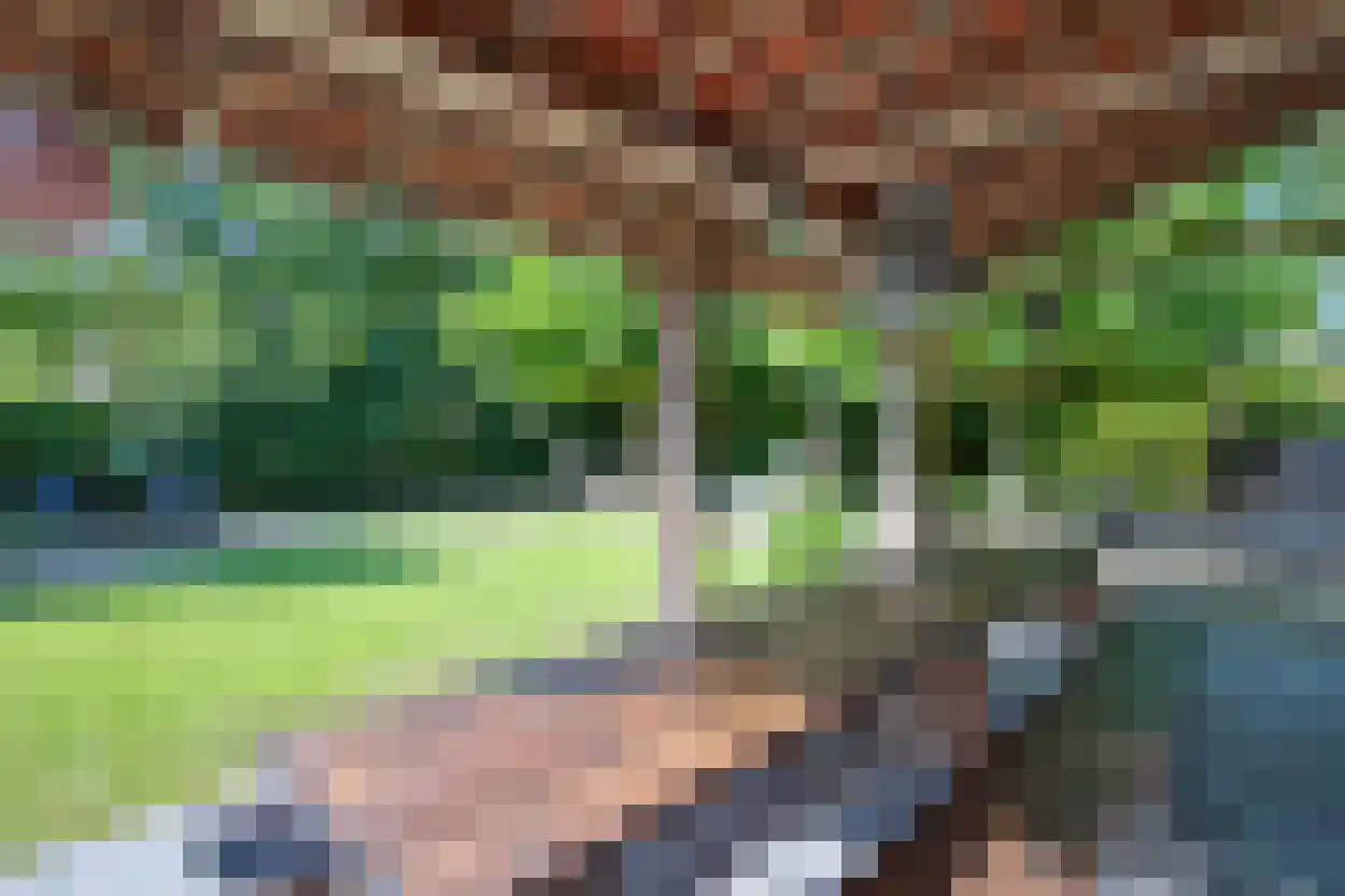 Bosruiterweg 25 12 Zeewolde thumbnail 15