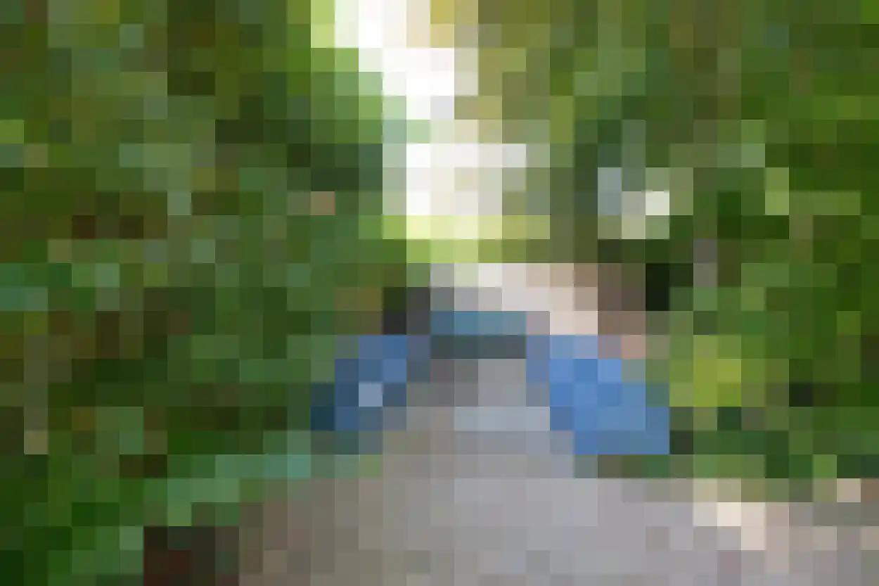 Bosruiterweg 25 12 Zeewolde thumbnail 19
