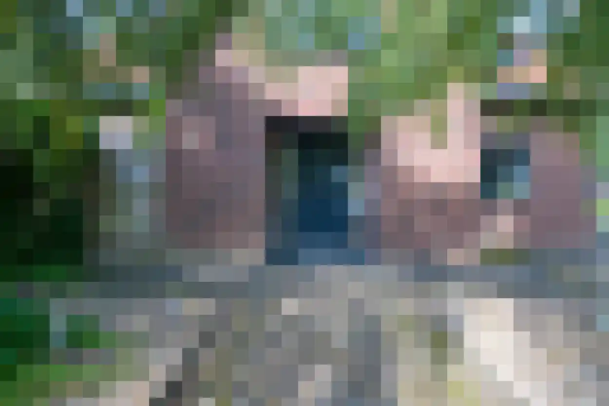 Bosruiterweg 25 12 Zeewolde thumbnail 27