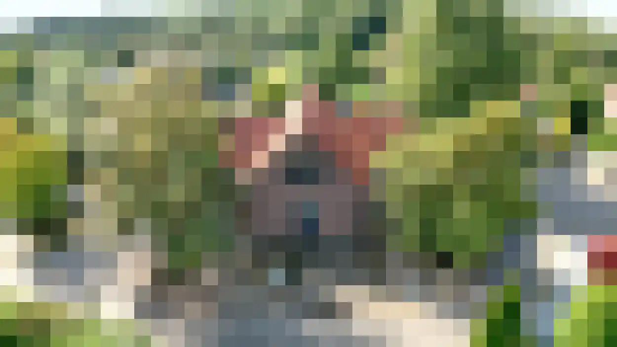 Bosruiterweg 25 12 Zeewolde thumbnail 5
