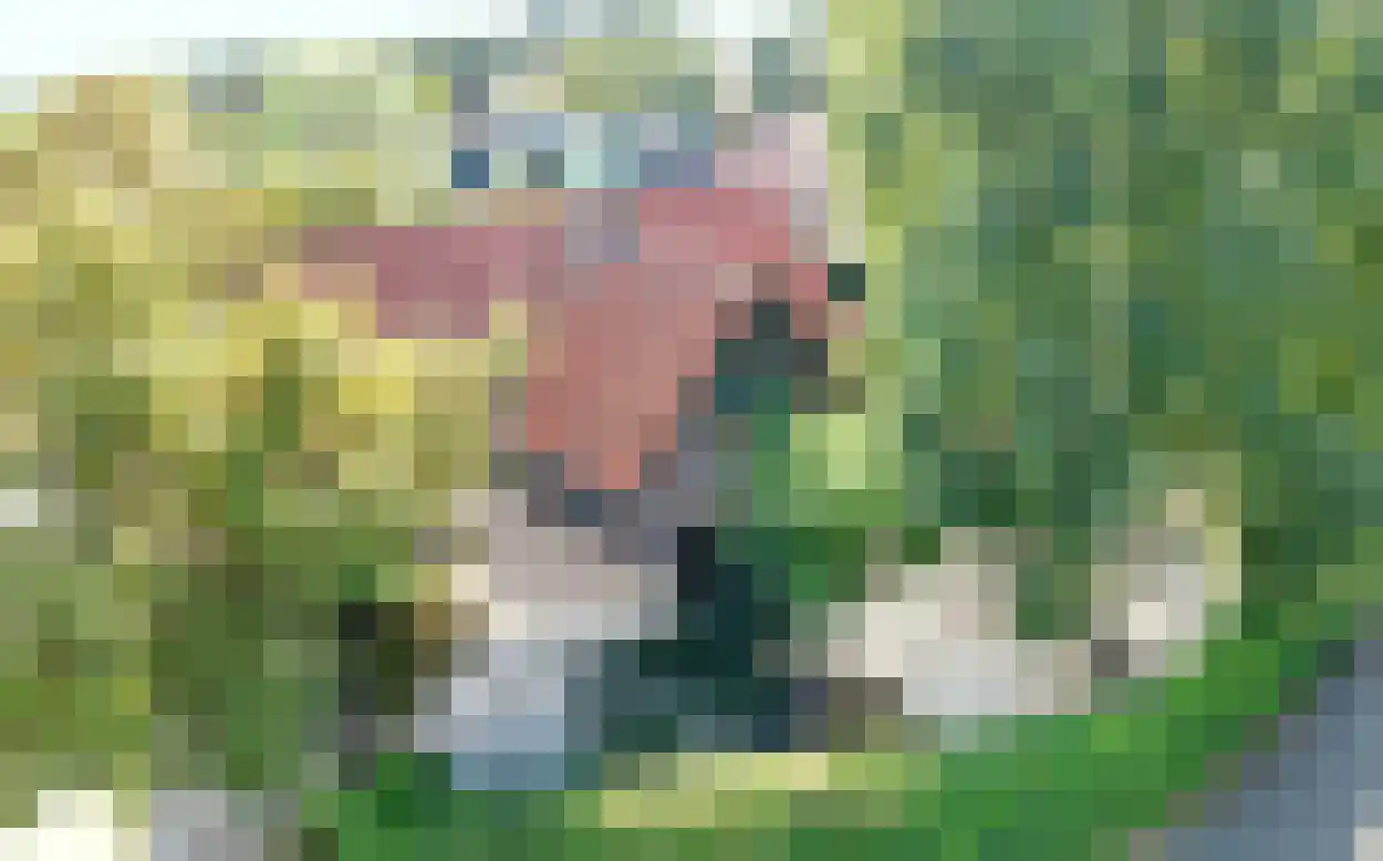 Bosruiterweg 25 12 Zeewolde thumbnail 6