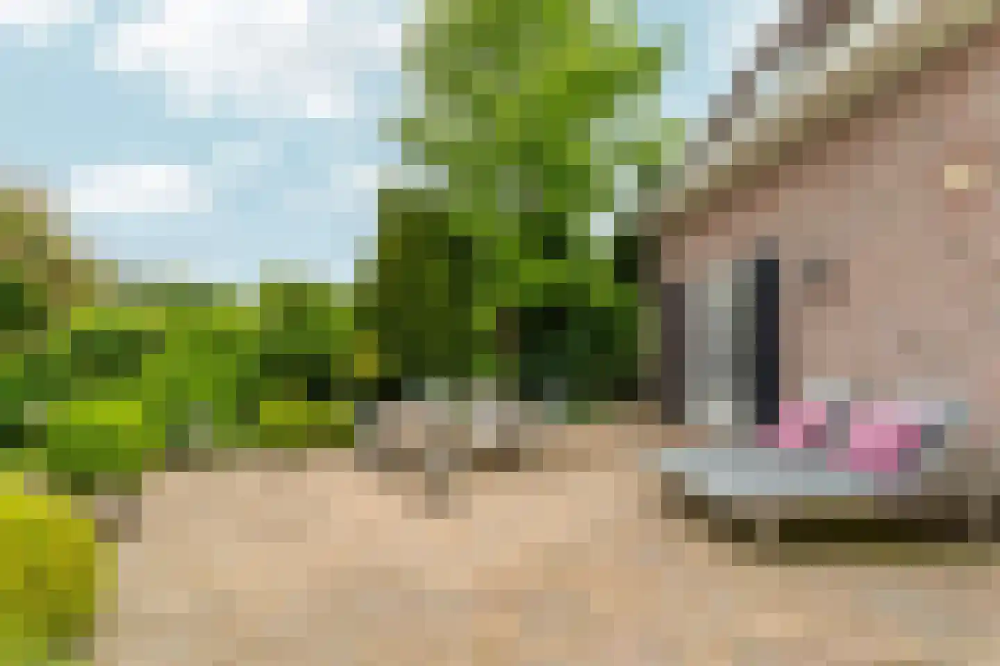 Bosruiterweg 25 129 Zeewolde thumbnail 69