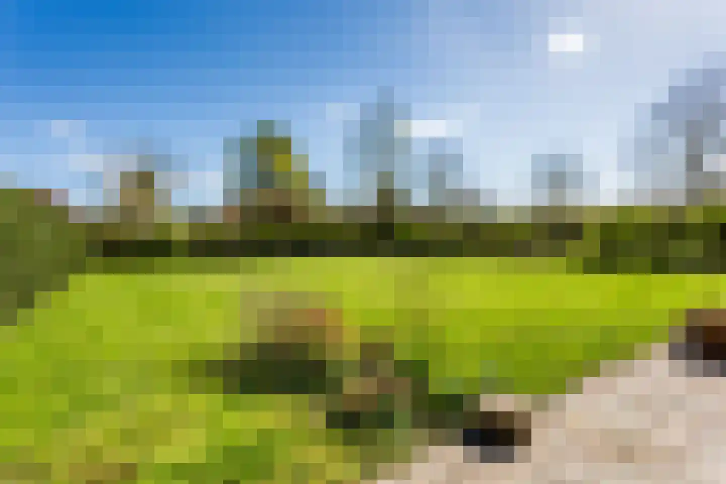 Bosruiterweg 25 14 Zeewolde thumbnail 38