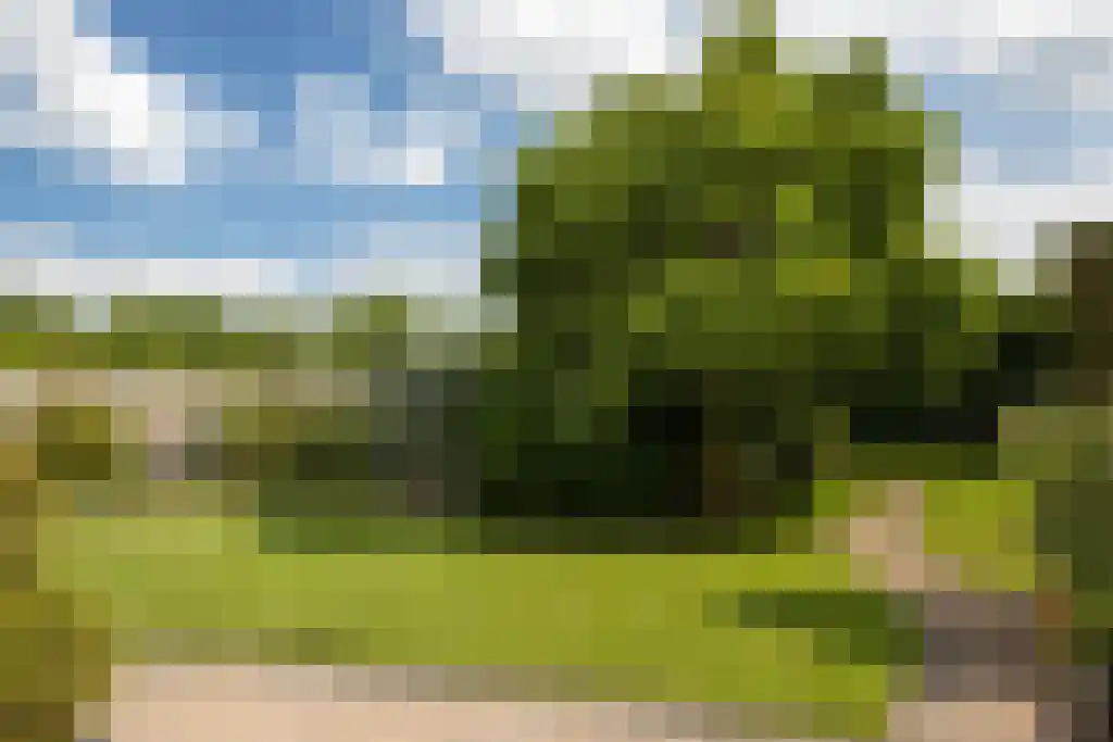 Bosruiterweg 25 18 Zeewolde thumbnail 35