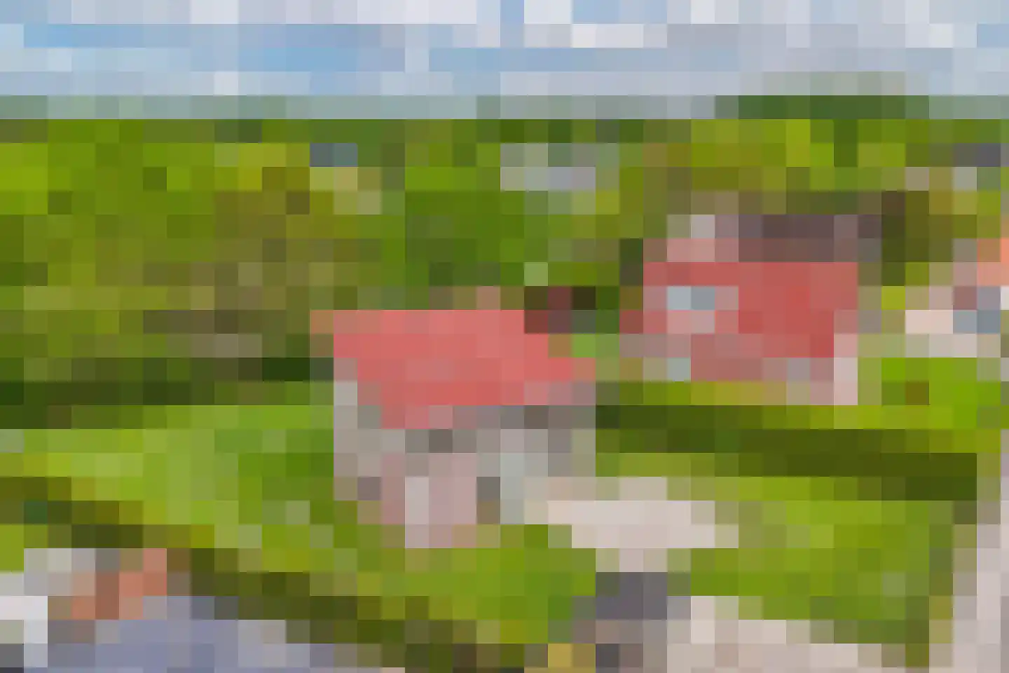 Bosruiterweg 25 22 Zeewolde thumbnail 35