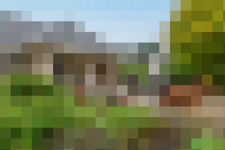 Bosruiterweg 25 60 Zeewolde thumbnail 33