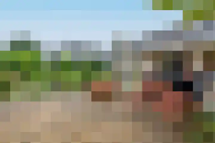 Bosruiterweg 25 60 Zeewolde thumbnail 34